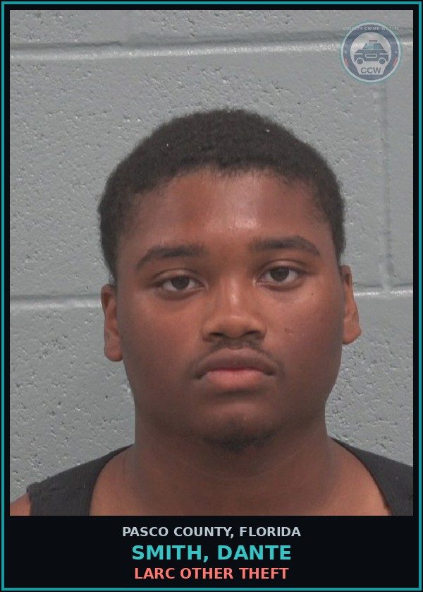 Booking mugshot of SMITH, DANTE in Pasco County