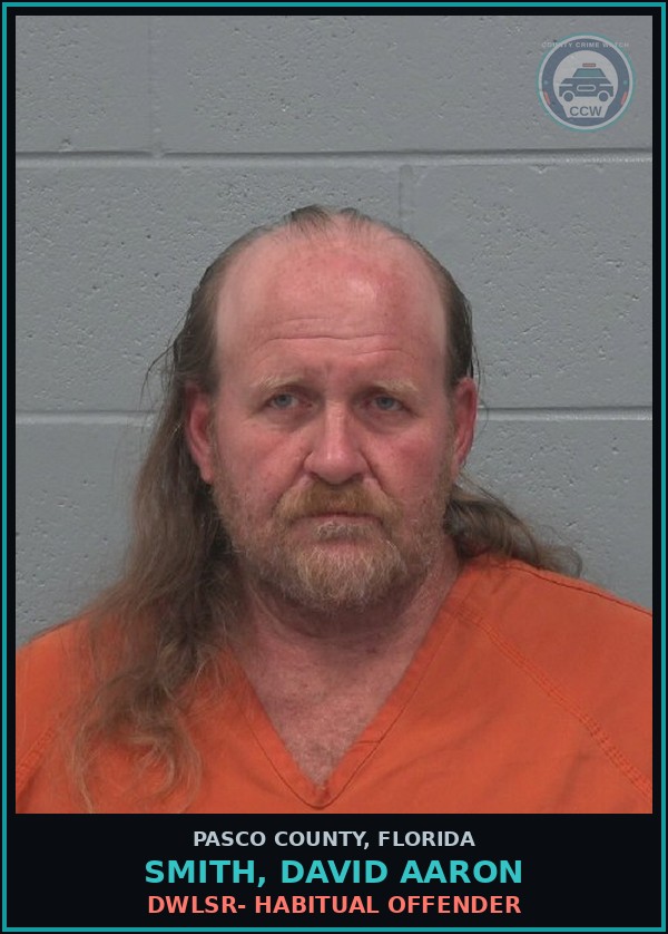 Booking mugshot of SMITH, DAVID AARON in Pasco County