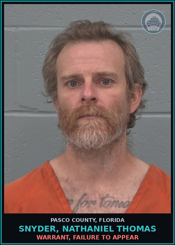 Booking mugshot of SNYDER, NATHANIEL THOMAS in Pasco County