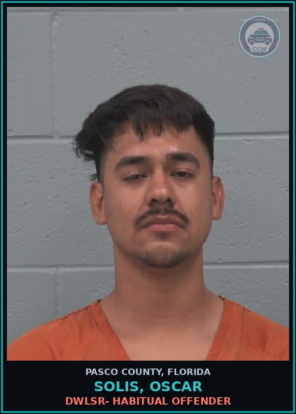 Booking mugshot of SOLIS, OSCAR in Pasco County
