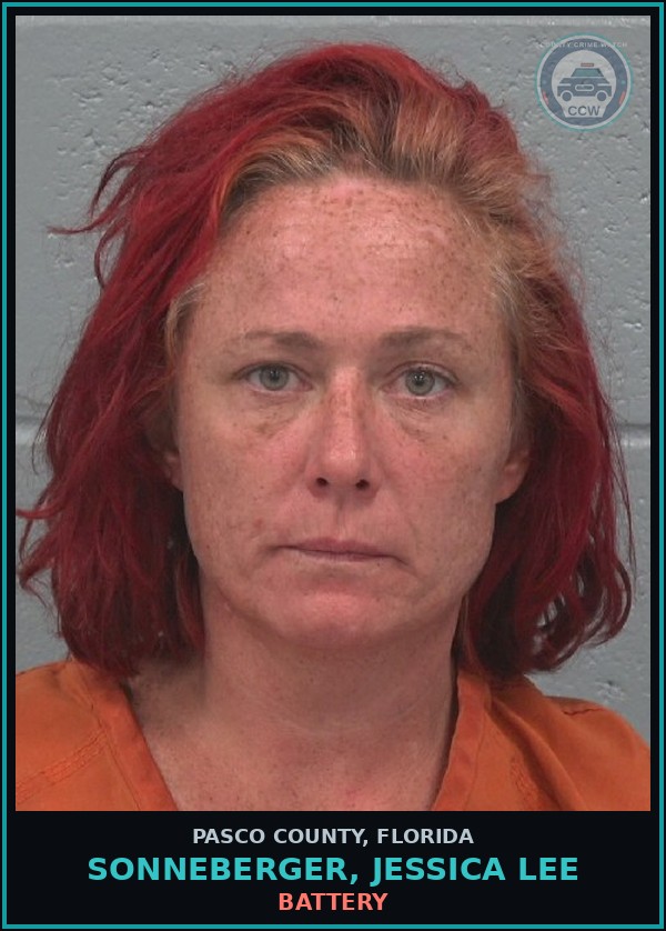 Booking mugshot of SONNEBERGER, JESSICA LEE in Pasco County