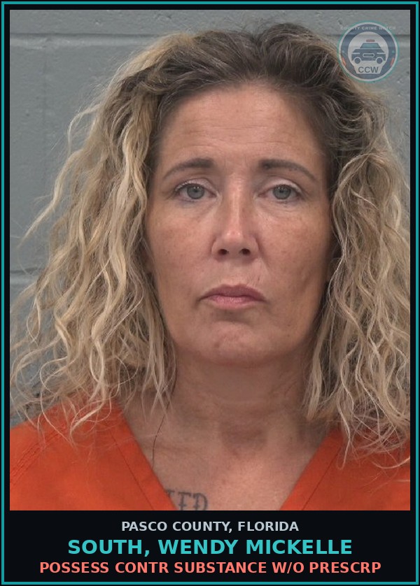 Booking mugshot of SOUTH, WENDY MICKELLE in Pasco County