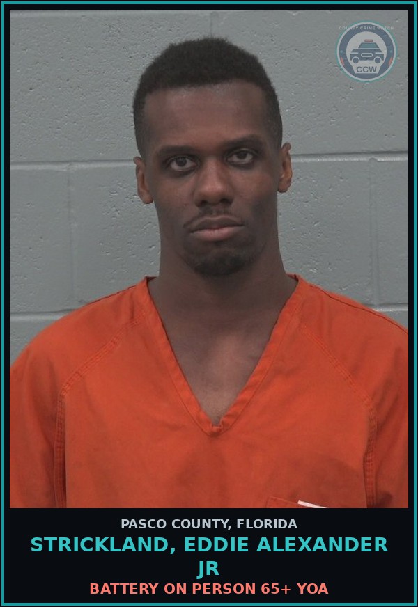 Booking mugshot of STRICKLAND, EDDIE ALEXANDER JR in Pasco County