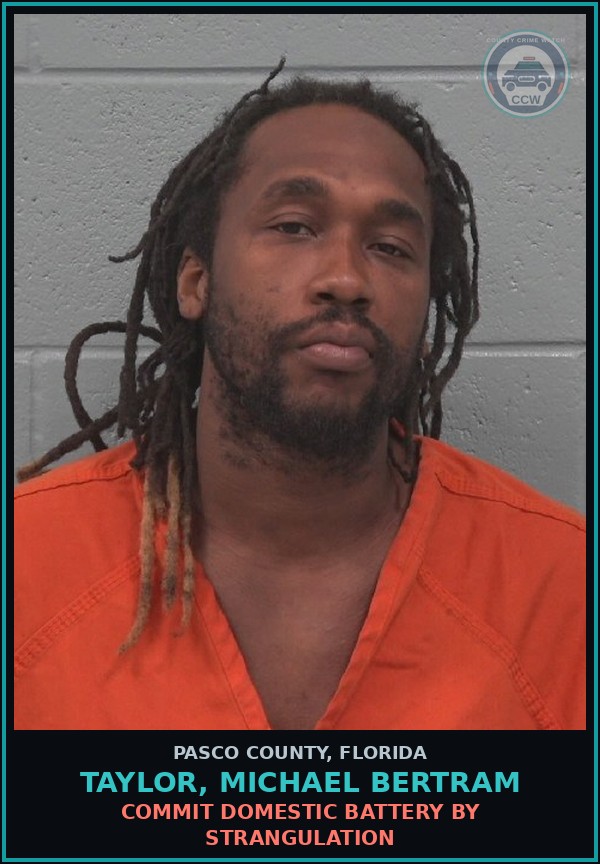 Booking mugshot of TAYLOR, MICHAEL BERTRAM in Pasco County