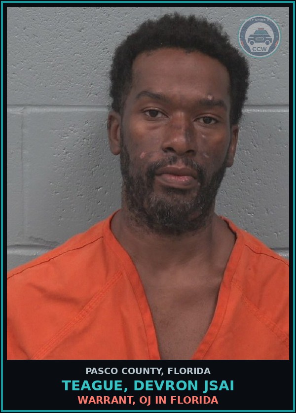 Booking mugshot of TEAGUE, DEVRON JSAI in Pasco County