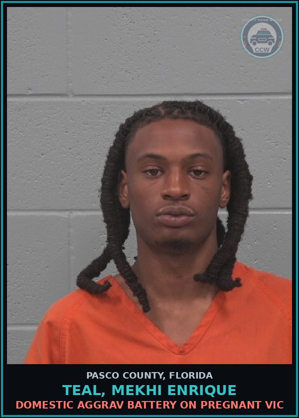 Booking mugshot of TEAL, MEKHI ENRIQUE in Pasco County