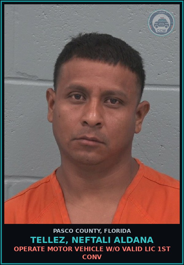 Booking mugshot of TELLEZ, NEFTALI ALDANA in Pasco County