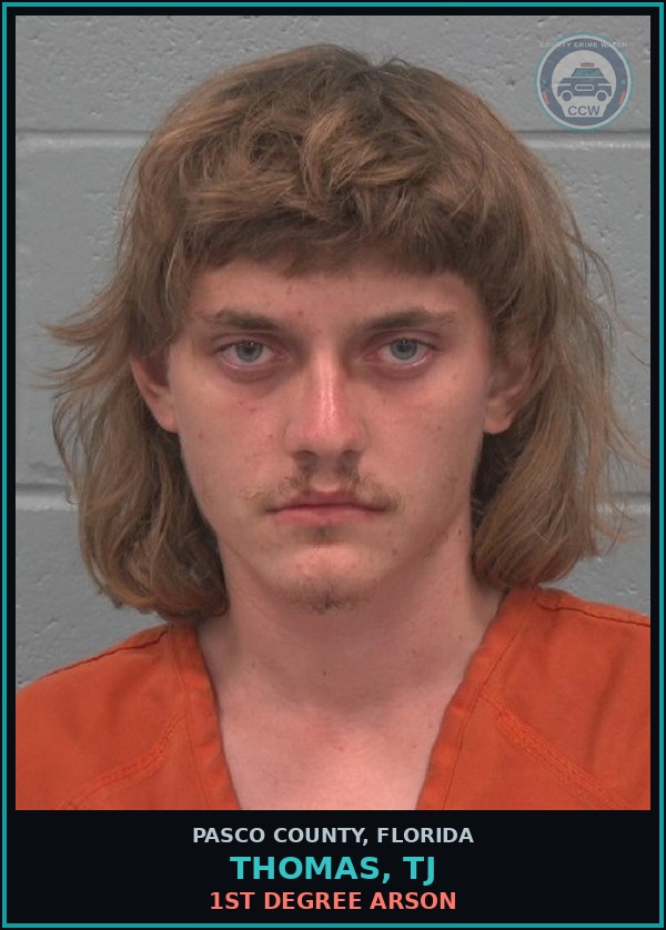 Booking mugshot of THOMAS, TJ in Pasco County