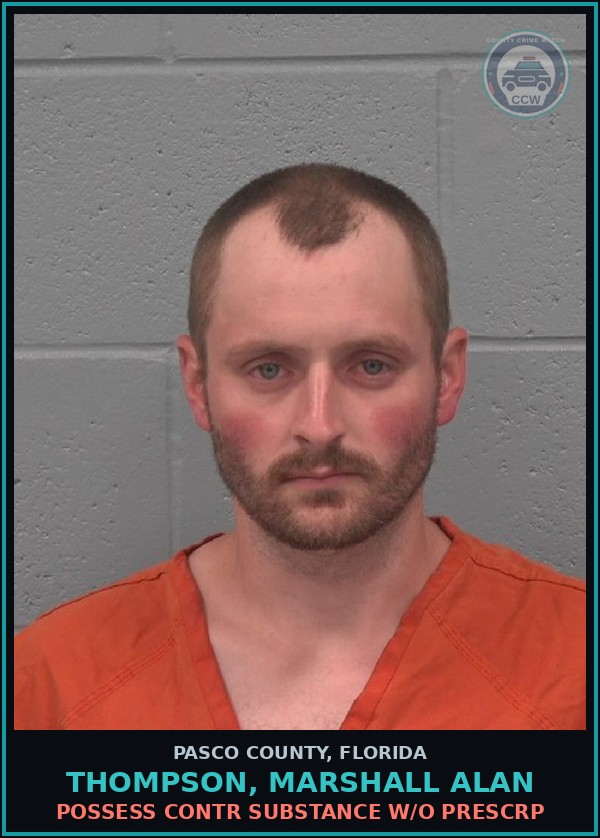 Booking mugshot of THOMPSON, MARSHALL ALAN in Pasco County