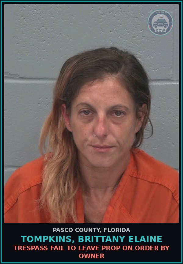 Booking mugshot of TOMPKINS, BRITTANY ELAINE in Pasco County
