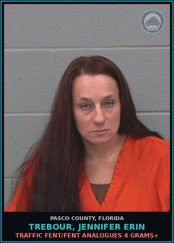 Booking mugshot of TREBOUR, JENNIFER ERIN in Pasco County