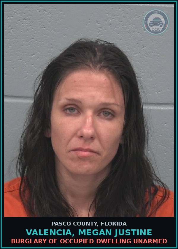 Booking mugshot of VALENCIA, MEGAN JUSTINE in Pasco County