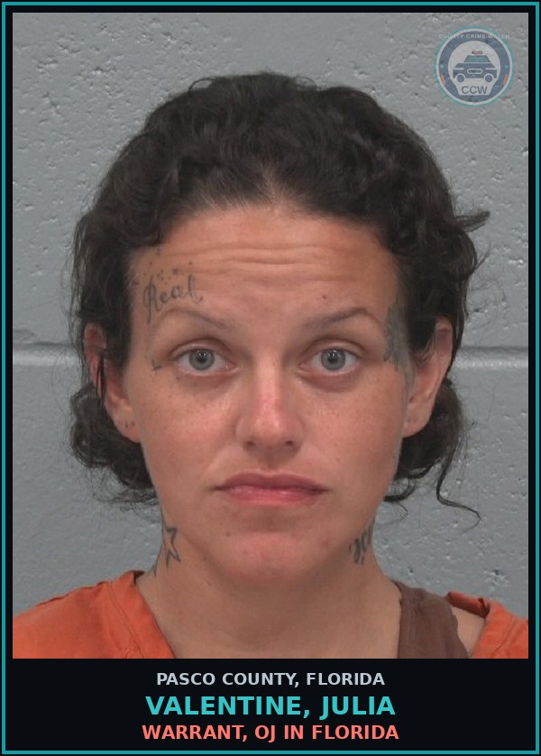 Booking mugshot of VALENTINE, JULIA in Pasco County