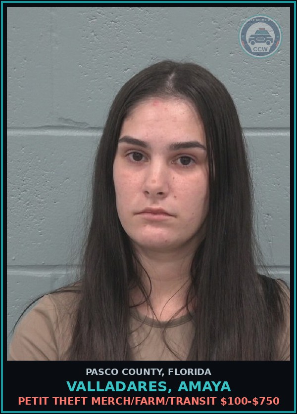 Booking mugshot of VALLADARES, AMAYA in Pasco County
