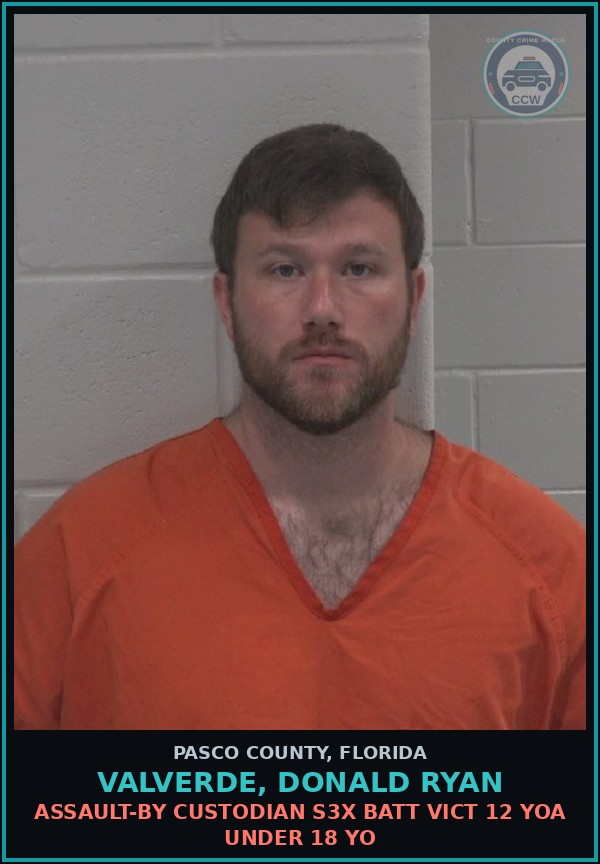 Booking mugshot of VALVERDE, DONALD RYAN in Pasco County