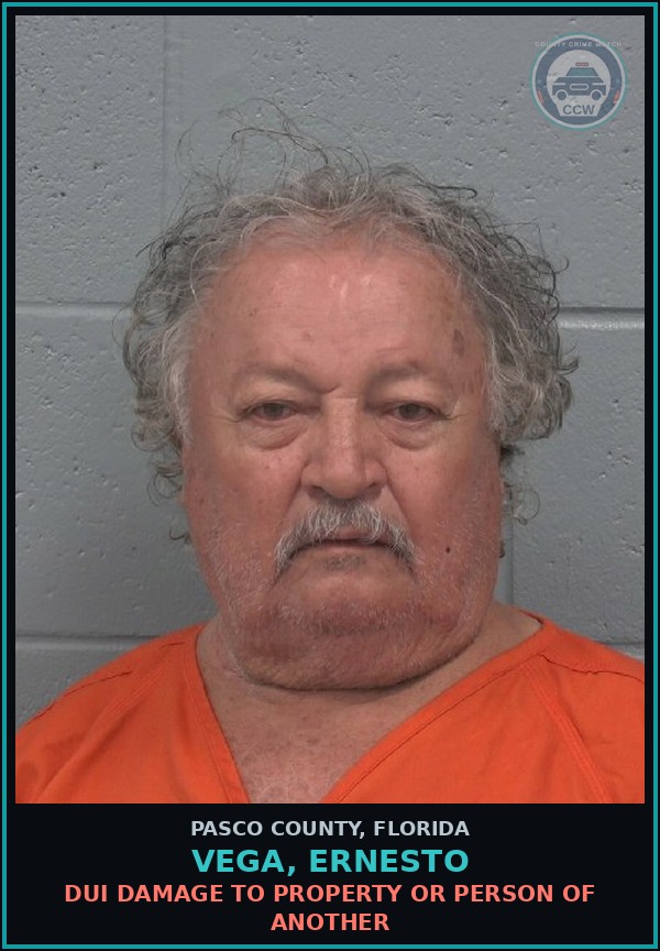 Booking mugshot of VEGA, ERNESTO in Pasco County