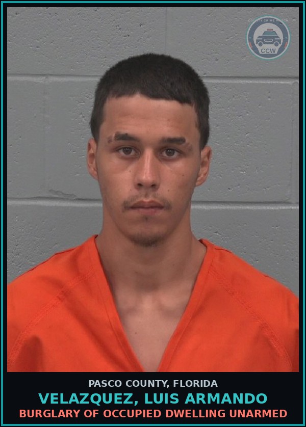 Booking mugshot of VELAZQUEZ, LUIS ARMANDO in Pasco County