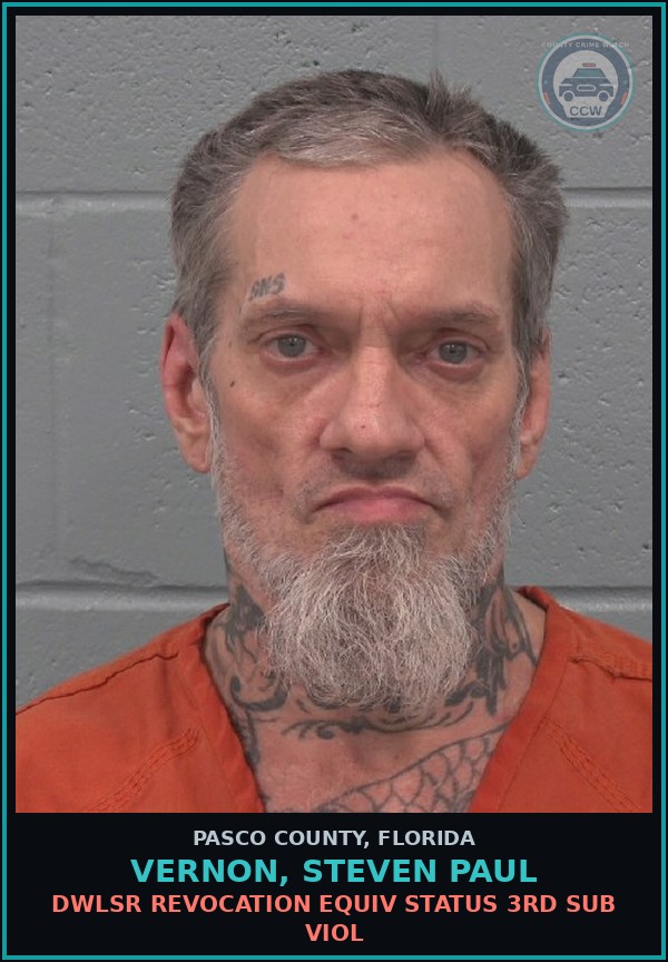 Booking mugshot of VERNON, STEVEN PAUL in Pasco County