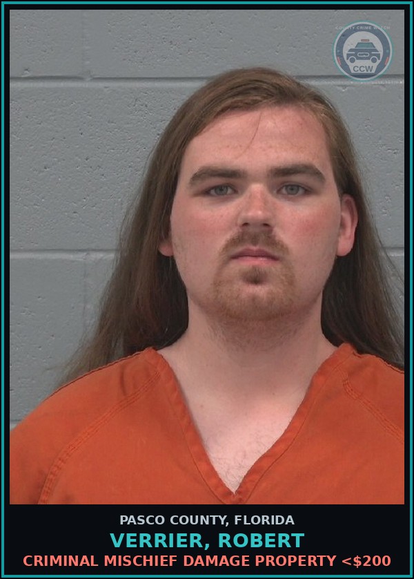 Booking mugshot of VERRIER, ROBERT in Pasco County