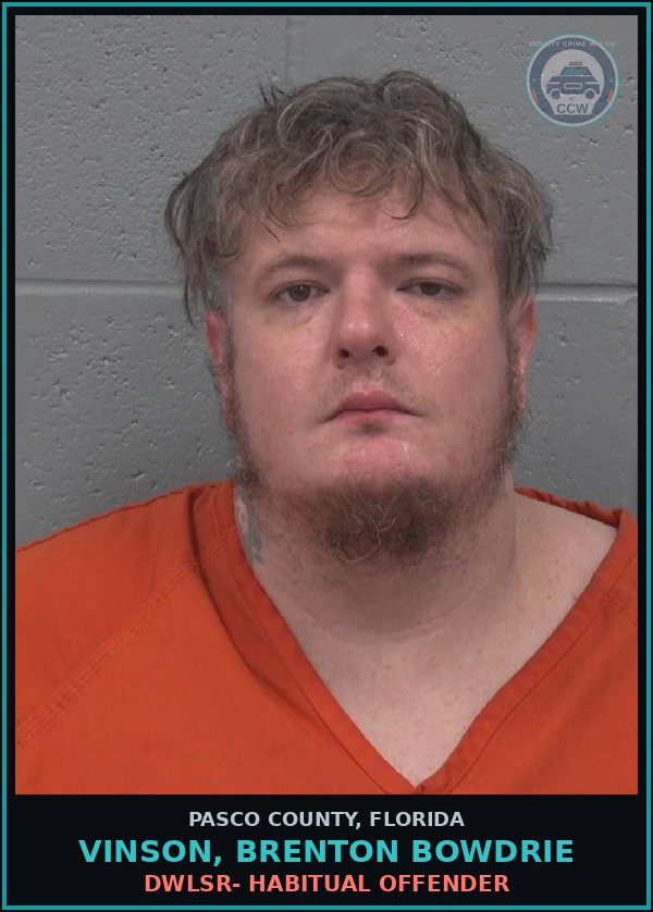 Booking mugshot of VINSON, BRENTON BOWDRIE in Pasco County