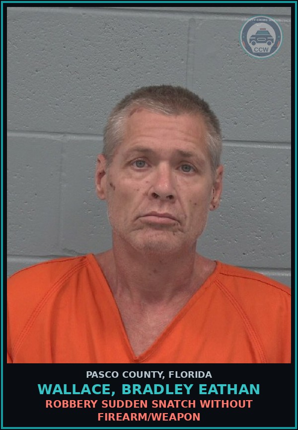 Booking mugshot of WALLACE, BRADLEY EATHAN in Pasco County