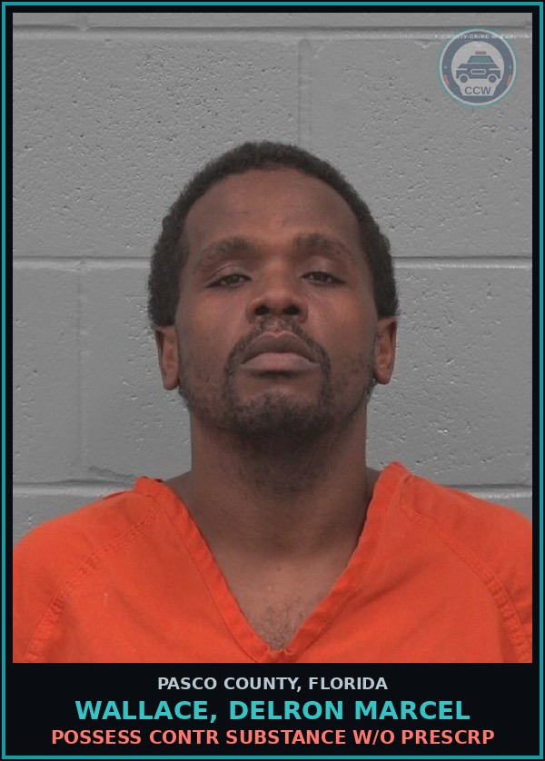Booking mugshot of WALLACE, DELRON MARCEL in Pasco County