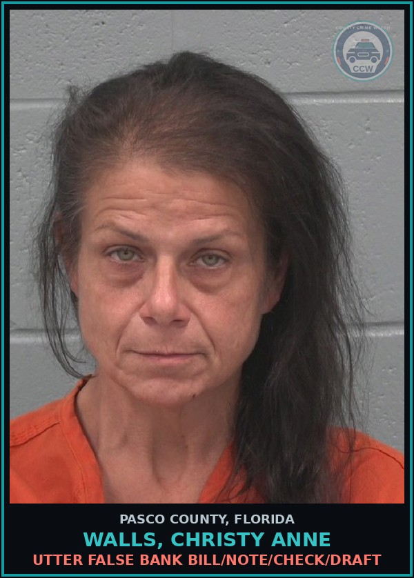 Booking mugshot of WALLS, CHRISTY ANNE in Pasco County