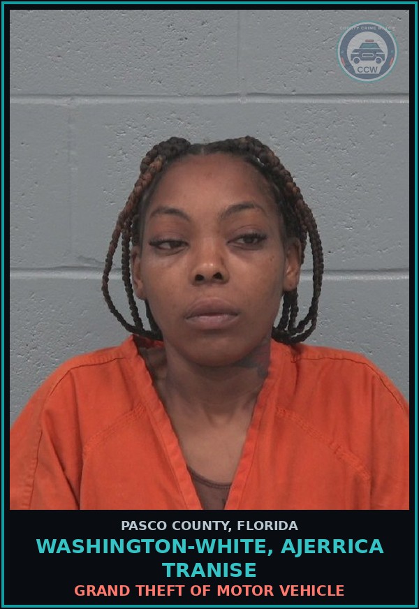 Booking mugshot of WASHINGTON-WHITE, AJERRICA TRANISE in Pasco County