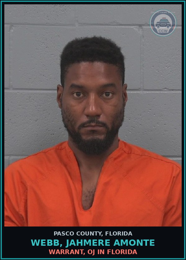 Booking mugshot of WEBB, JAHMERE AMONTE in Pasco County