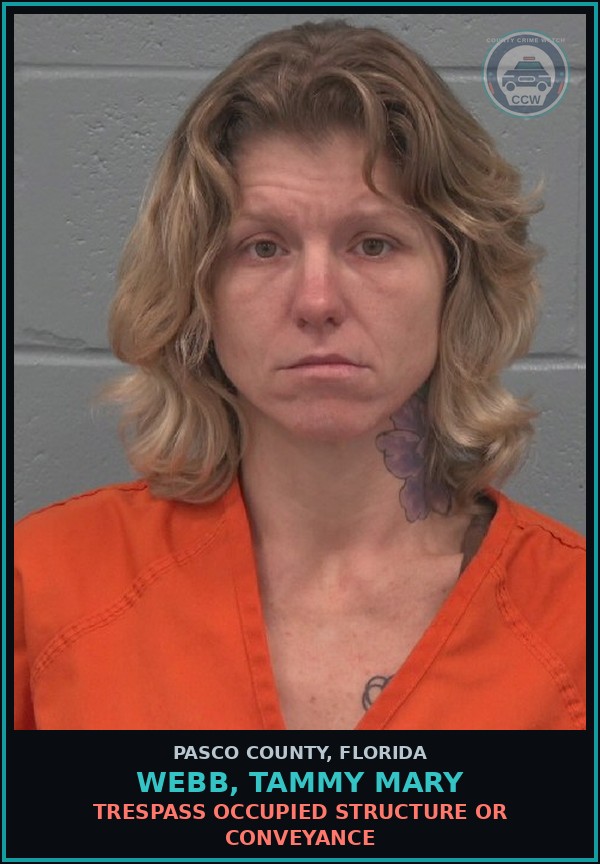 Booking mugshot of WEBB, TAMMY MARY in Pasco County
