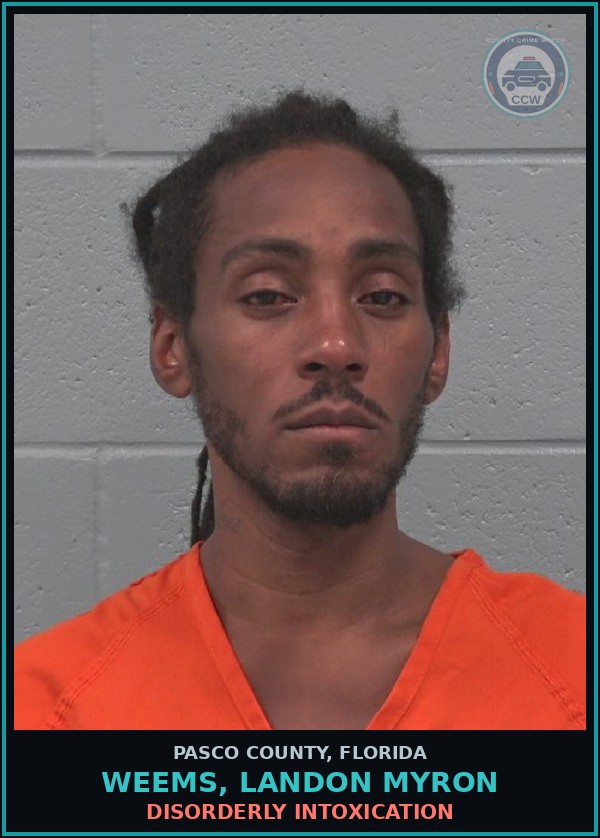 Booking mugshot of WEEMS, LANDON MYRON in Pasco County