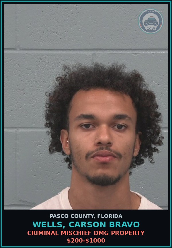 Booking mugshot of WELLS, CARSON BRAVO in Pasco County