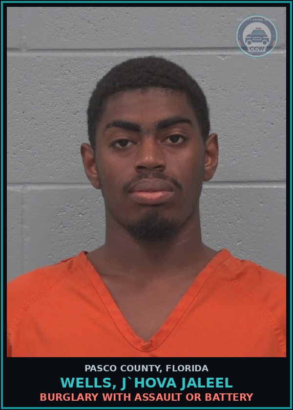 Booking mugshot of WELLS, J`HOVA JALEEL in Pasco County