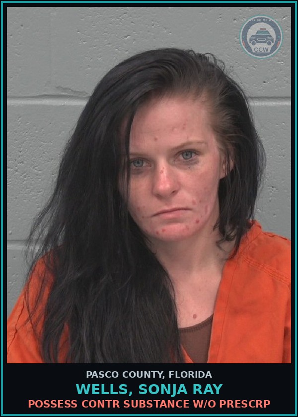 Booking mugshot of WELLS, SONJA RAY in Pasco County