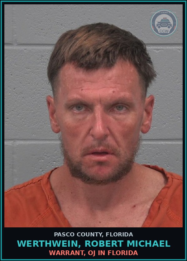 Booking mugshot of WERTHWEIN, ROBERT MICHAEL in Pasco County
