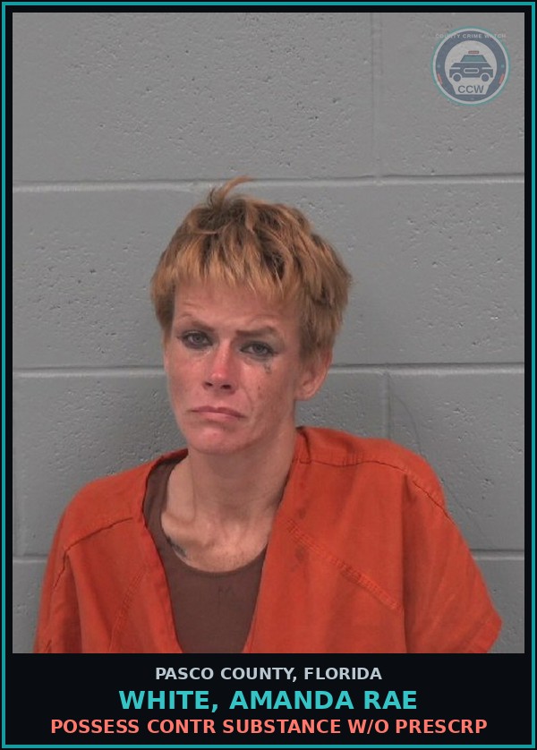 Booking mugshot of WHITE, AMANDA RAE in Pasco County