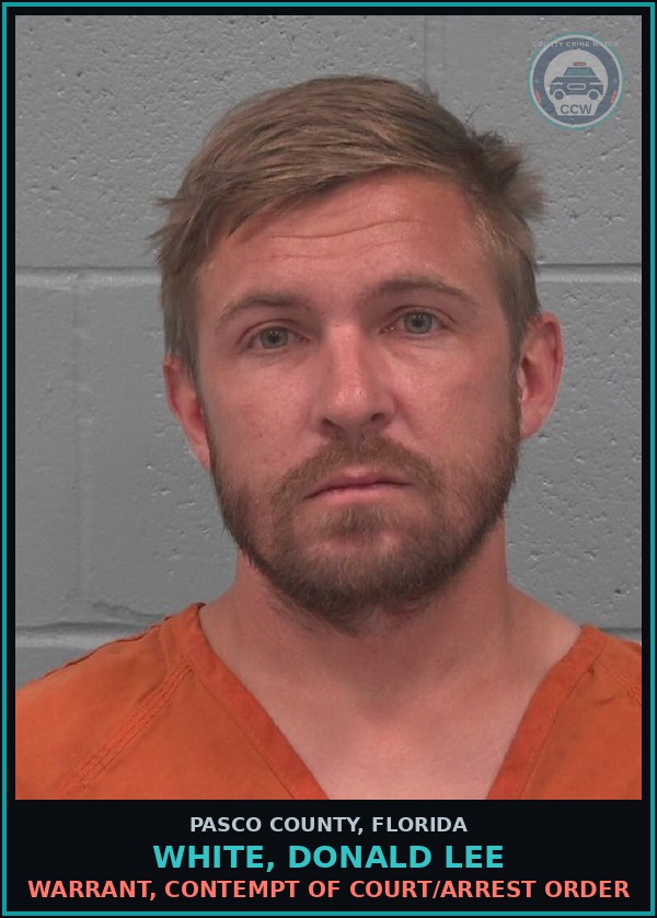 Booking mugshot of WHITE, DONALD LEE in Pasco County