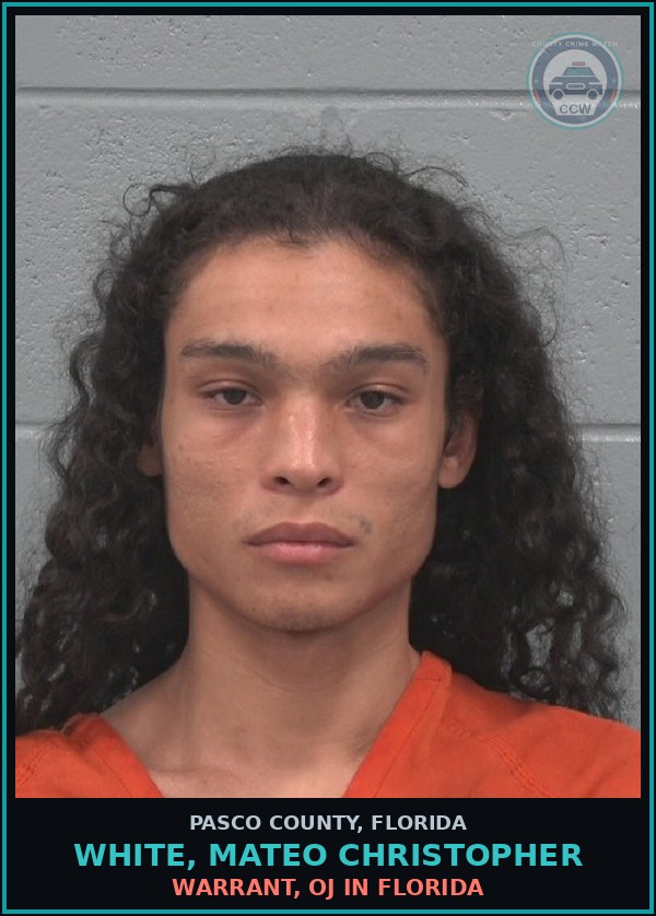 Booking mugshot of WHITE, MATEO CHRISTOPHER in Pasco County