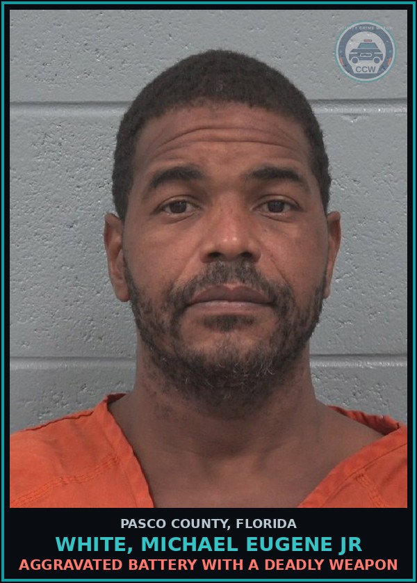 Booking mugshot of WHITE, MICHAEL EUGENE JR in Pasco County