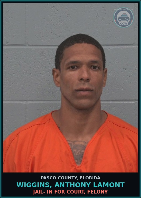 Booking mugshot of WIGGINS, ANTHONY LAMONT in Pasco County