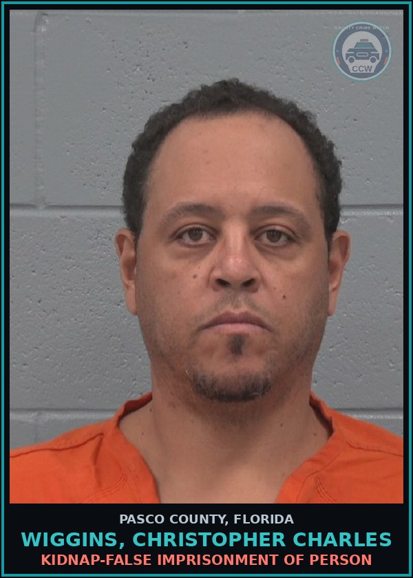 Booking mugshot of WIGGINS, CHRISTOPHER CHARLES in Pasco County