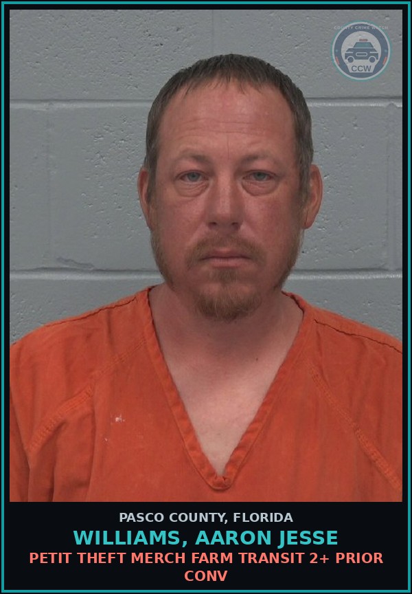 Booking mugshot of WILLIAMS, AARON JESSE in Pasco County