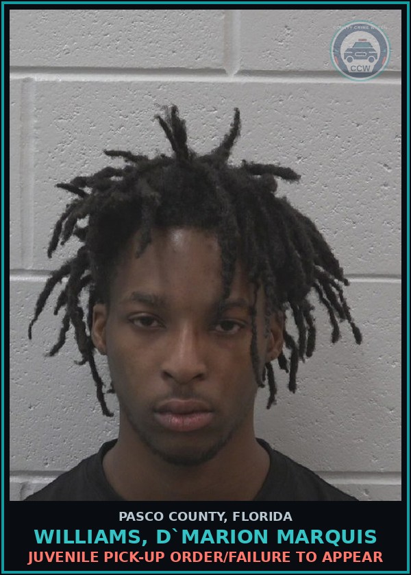 Booking mugshot of WILLIAMS, D`MARION MARQUIS in Pasco County