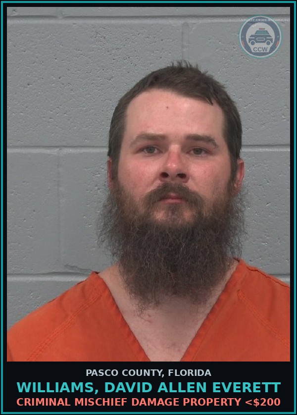 Booking mugshot of WILLIAMS, DAVID ALLEN EVERETT in Pasco County