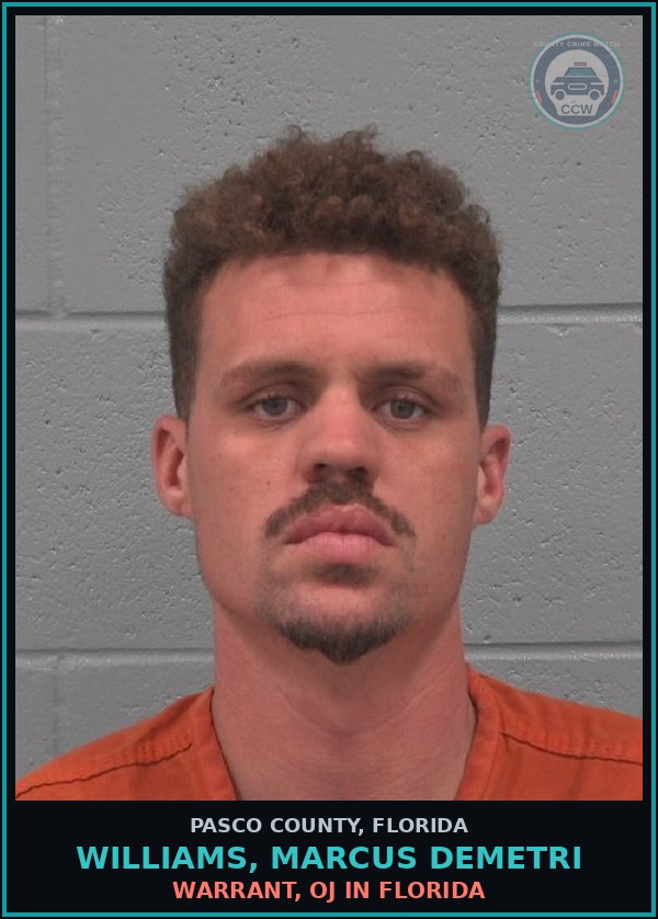 Booking mugshot of WILLIAMS, MARCUS DEMETRI in Pasco County