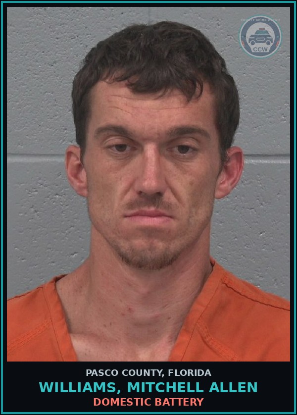 Booking mugshot of WILLIAMS, MITCHELL ALLEN in Pasco County