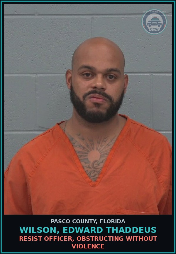 Booking mugshot of WILSON, EDWARD THADDEUS in Pasco County