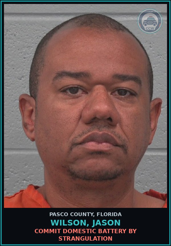 Booking mugshot of WILSON, JASON in Pasco County