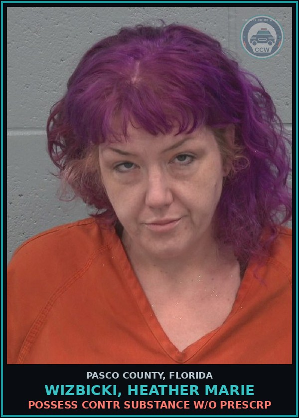 Booking mugshot of WIZBICKI, HEATHER MARIE in Pasco County