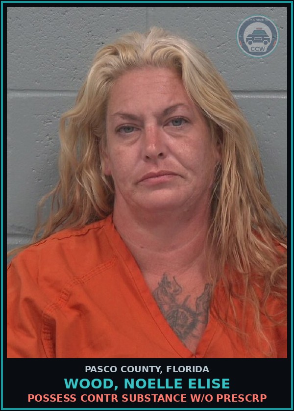 Booking mugshot of WOOD, NOELLE ELISE in Pasco County